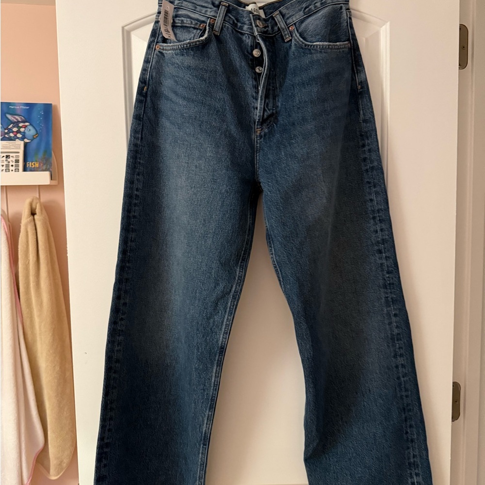 Agolde Low-Slung Baggy Jean